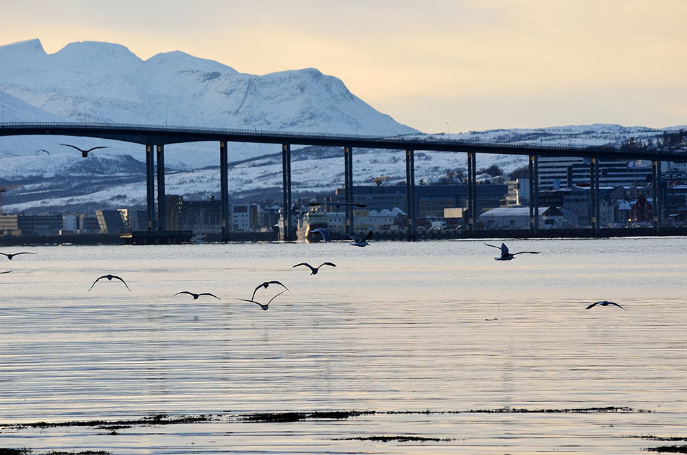 Tromsø by fra sjøen. Bilde fra colourbox.com