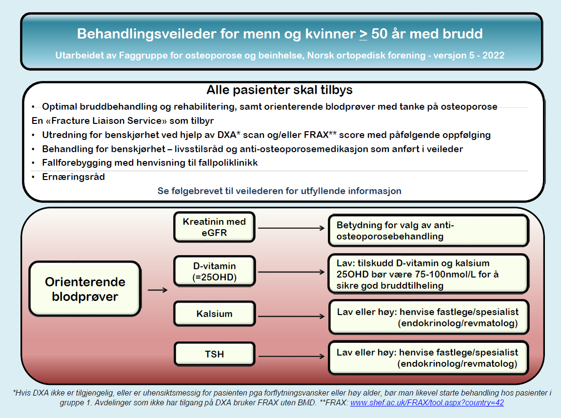 behandlingsveileder