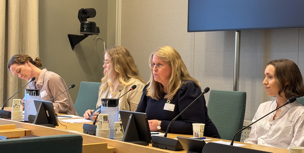 Bildet er fra en høringssal på Stortinget. Fire kvinner sitter bak en pult med mikrofoner på. Kvinnen fra venstre har brunt hår i en knute i nakken, og hun har lyselilla skjorte. Ved siden av henne sitter en ung kvinne med langt, lyst hår, briller og beige skjorte. Deretter sitter en kvinne med langt, lyst hår, briller og sort genser. Hun snakker i mikrofonen. Til slutt sitter en ung kvinne med brunt hår til haka og hvit skjorte..