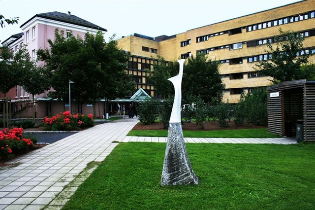 telemark