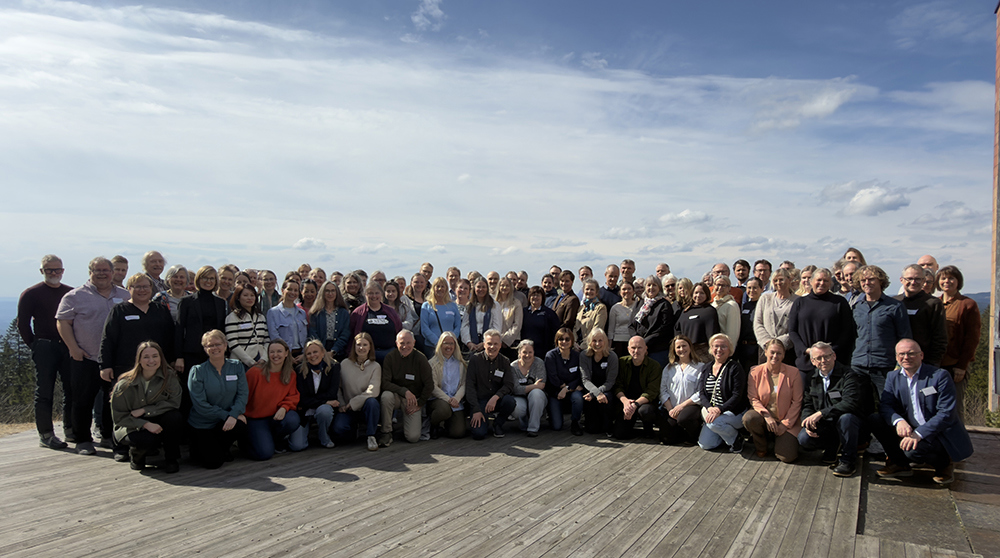ALLE SAMMEN: Vårkonferansen til Norsk arbeidsmedisinsk forening (Namf) og Norsk forening for arbeidsmedisin (Nfam) er meget populær.