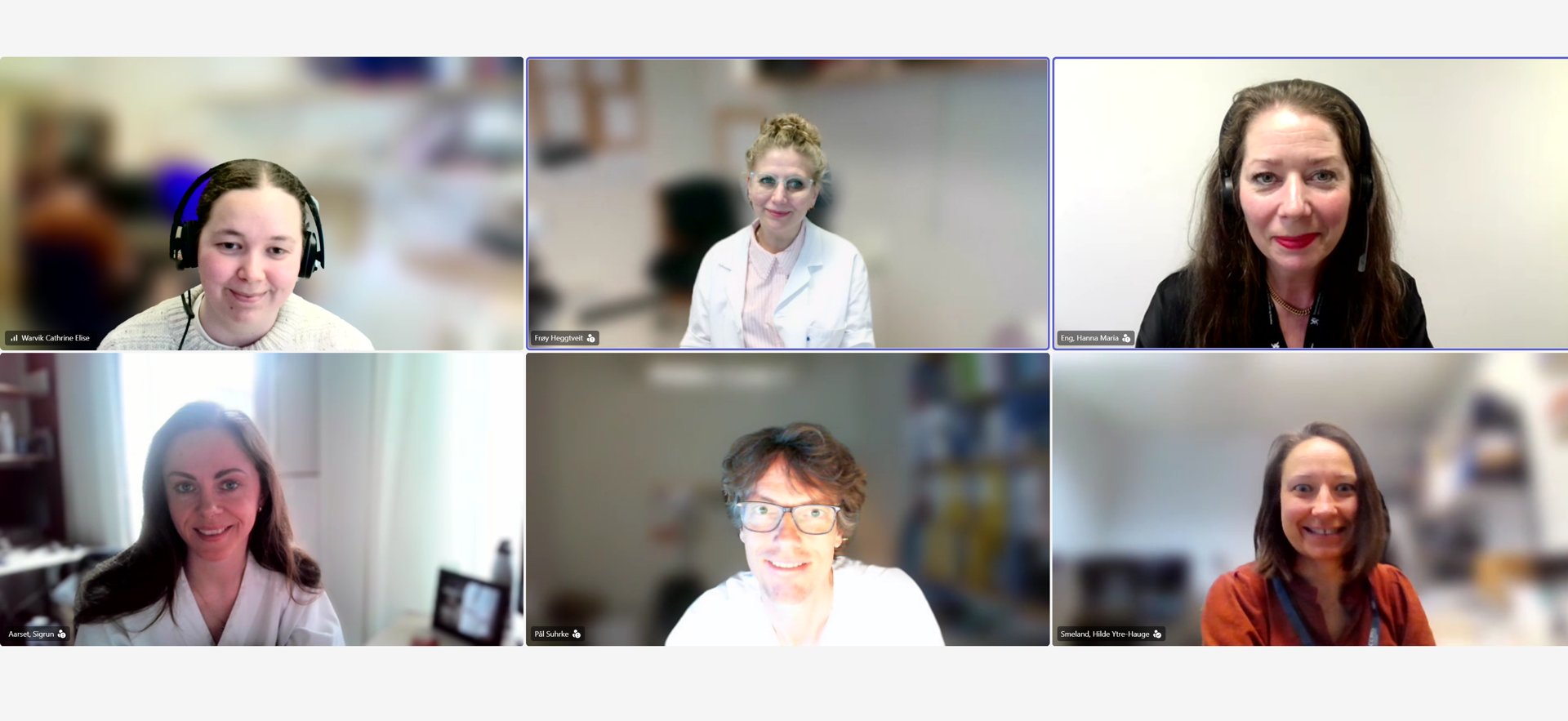 Foto fra styremøte på teams:  Øverst fra venstre: Cathrine Elise Warvik (styremedlem, Universitetssykehuset Nord Norge), Frøy Heggtveit (kasserer, sykehuset  Innlandet, Lillehammer), Hanna Maria Eng (leder, p.t permisjon fra Akershus universitetssykehus (Statsforvalteren)) Nederst fra venstre: Sigrun Aarset (nettansvarlig, St. Olavs Hospital), Pål Suhrke (nestleder, Sykehuset i Vestfold, Tønsberg), Hilde  Ytre-Hauge Smeland, styremedlem, Haukeland universitetssykehus) Ikke avbildet er varamedlem: Leif Roland Kørner (Akershus universitetssykehus)