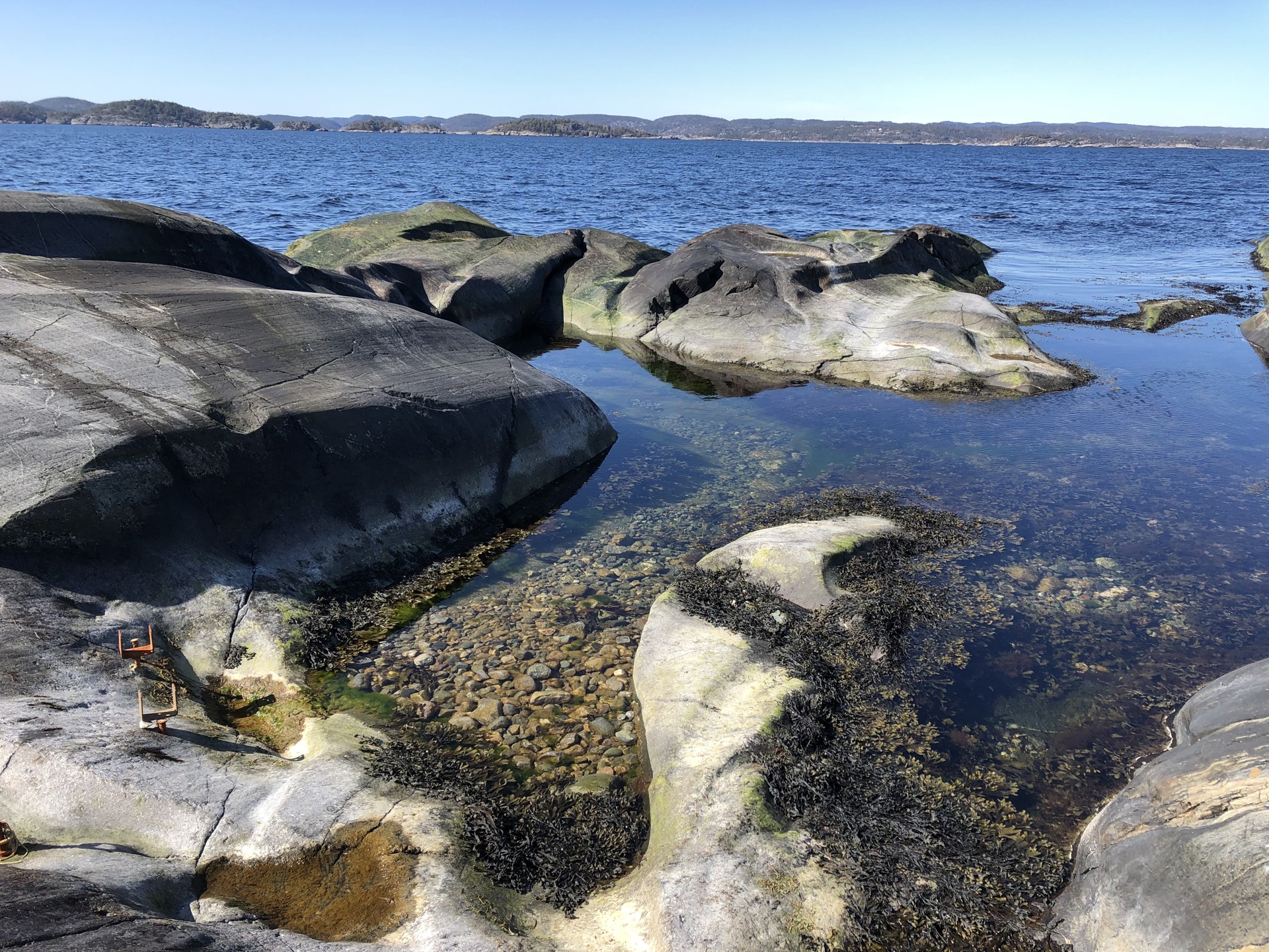 kursvirksomhet