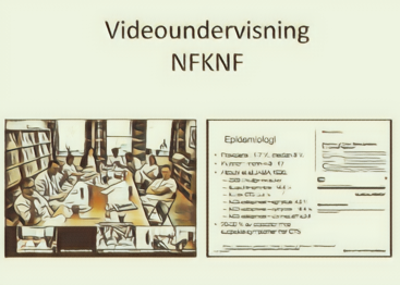 Videoundervisning maleristil KBO