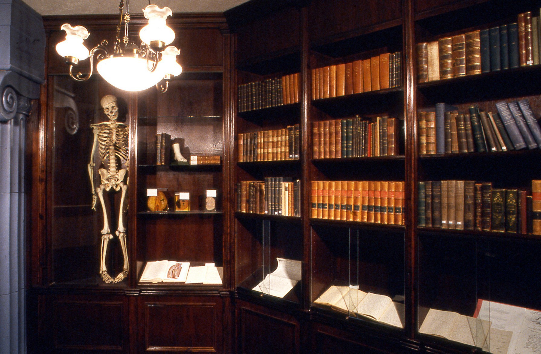 Biblioteket
