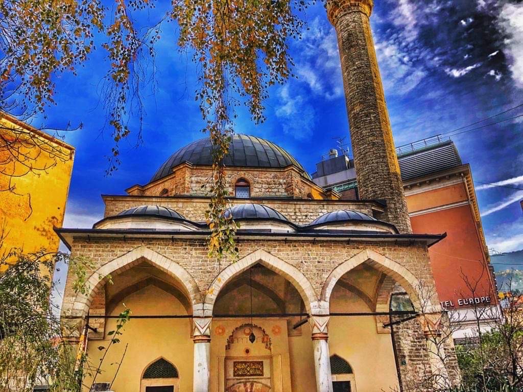 Sofia