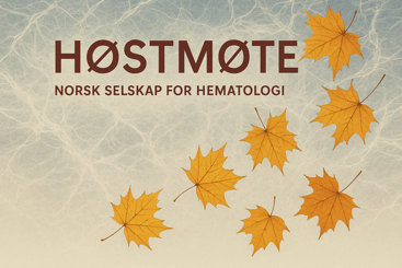 Høstemøte NSH Copilot