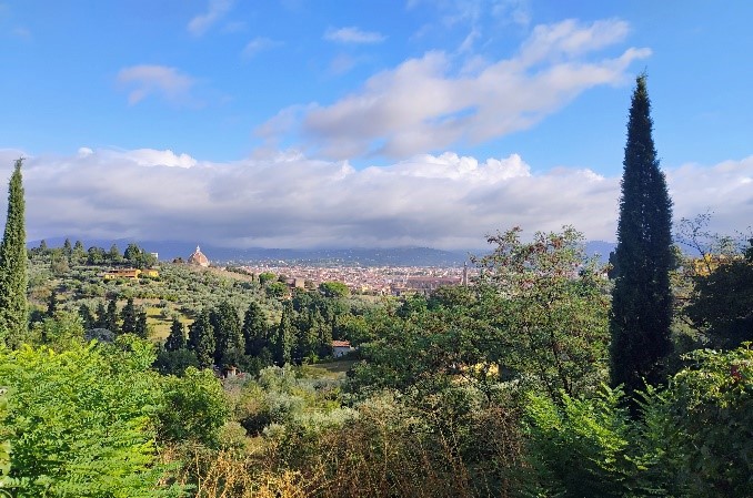 Bilde av Firenze sett fra sør.