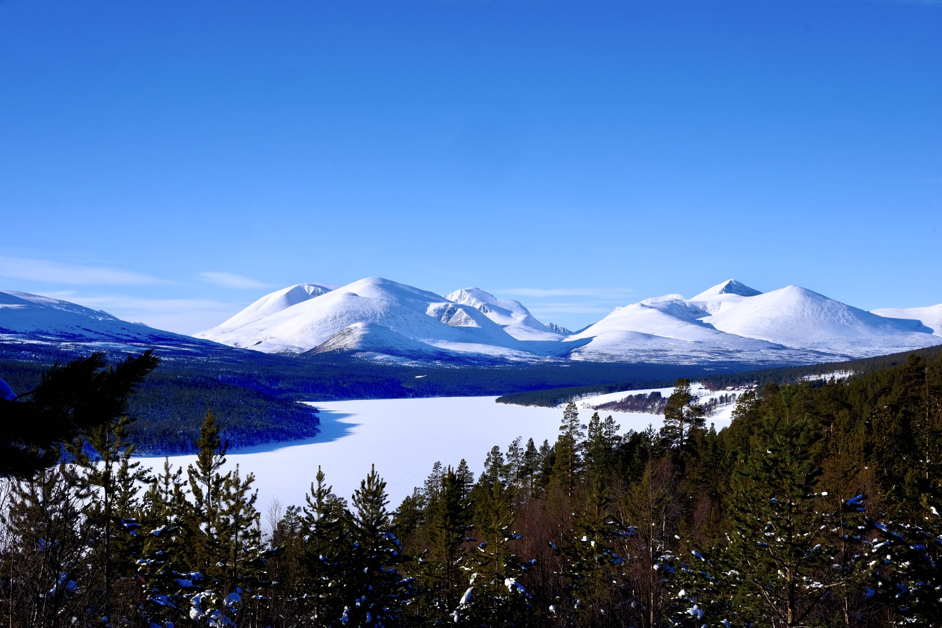 Rondane