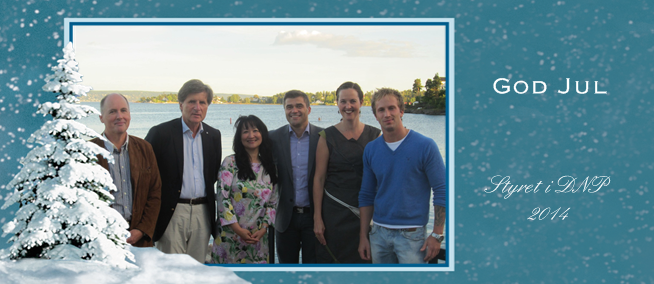 styret i dnp 2014