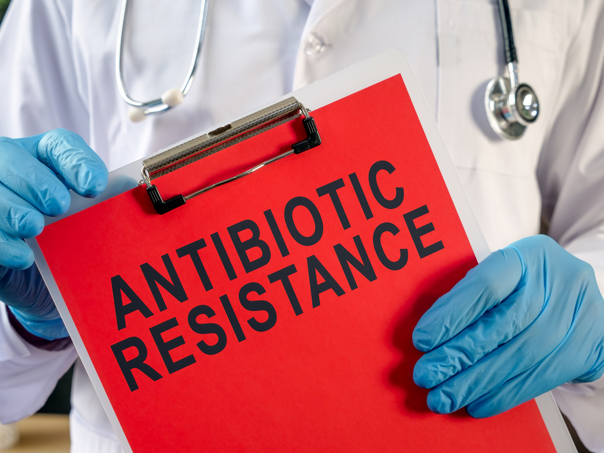 Antibiotika resistens