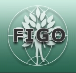 FIGO logo