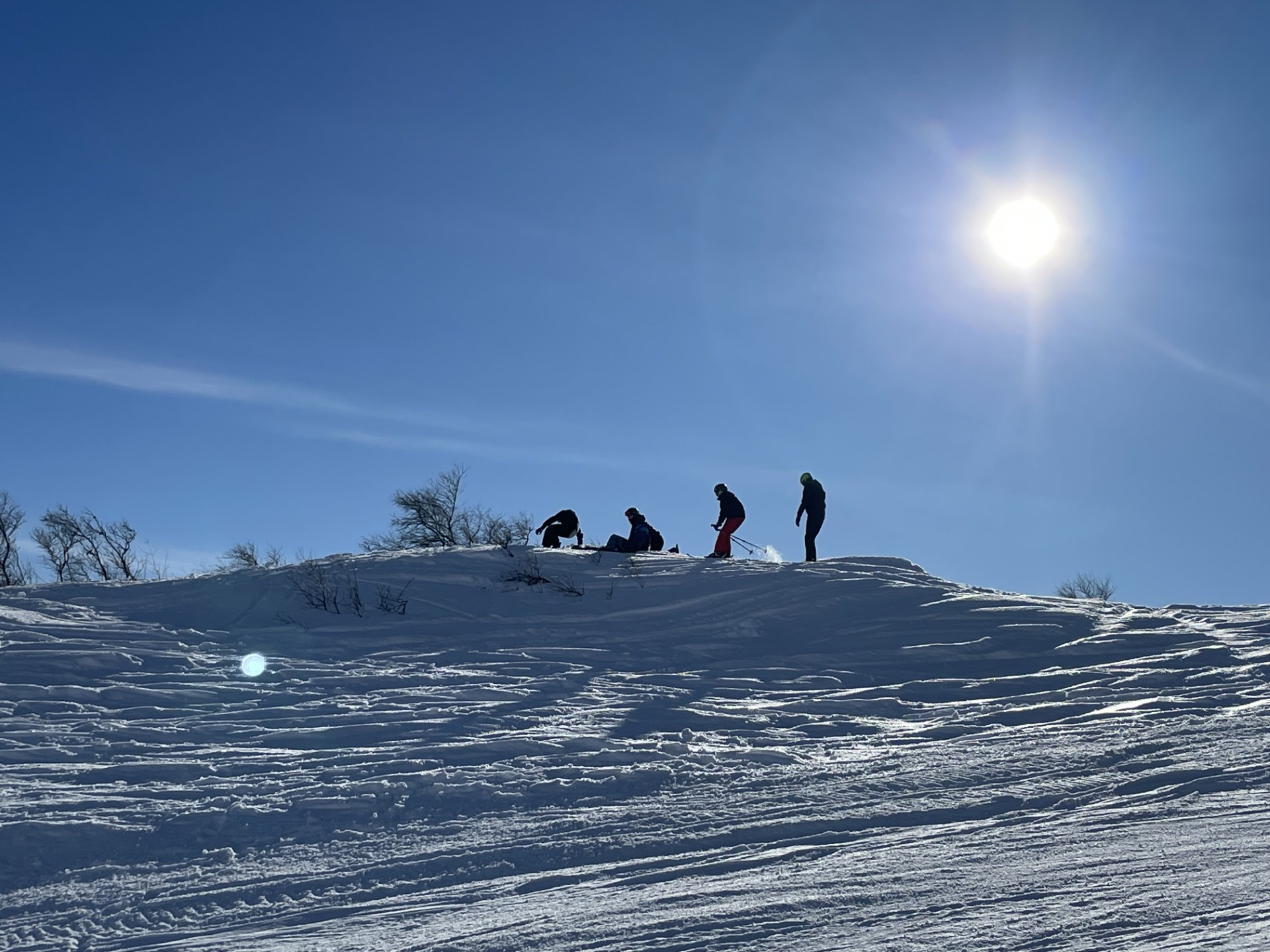 Fire personer i silhouett på slalåmski med snø og sol i bakgrunnen