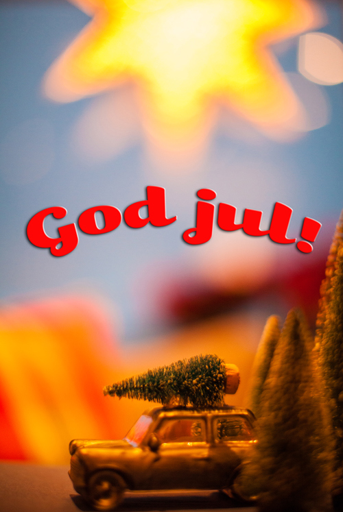 Jul_8474-500