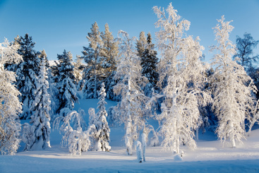 Vinter mostphotos.com
