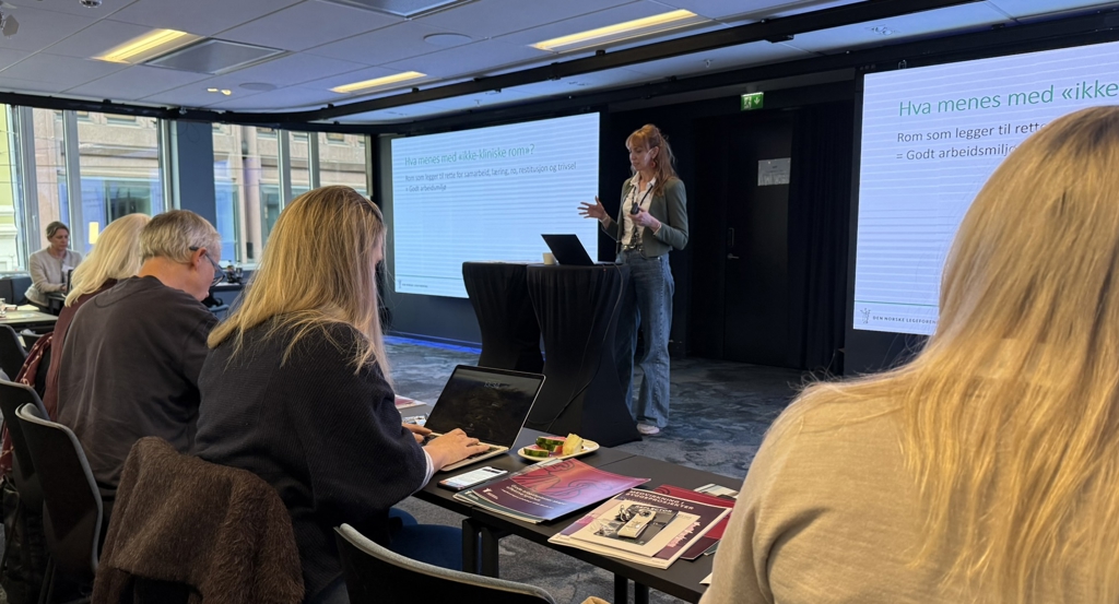 Kurset ble blant annet ledet av seniorrådgiver Linda Markham i Legeforeningen. Her holder hun foredrag til forsamlingen. Foran henne sitter tre kvinner med lyst hår, og en mann med grått hår. Alle i forsamlingen sees bakfra. Markham har langt, lyst hår med rødt skjær i. Hun har på seg grønn cardigan med hvit skjorte inni, og blå jeans med høyt liv. Hun står ved en sort talerstol, og bak henne er to skjermer. Begge viser en PowerPoint med teksten "Hva menes med ikke-kliniske rom?" 