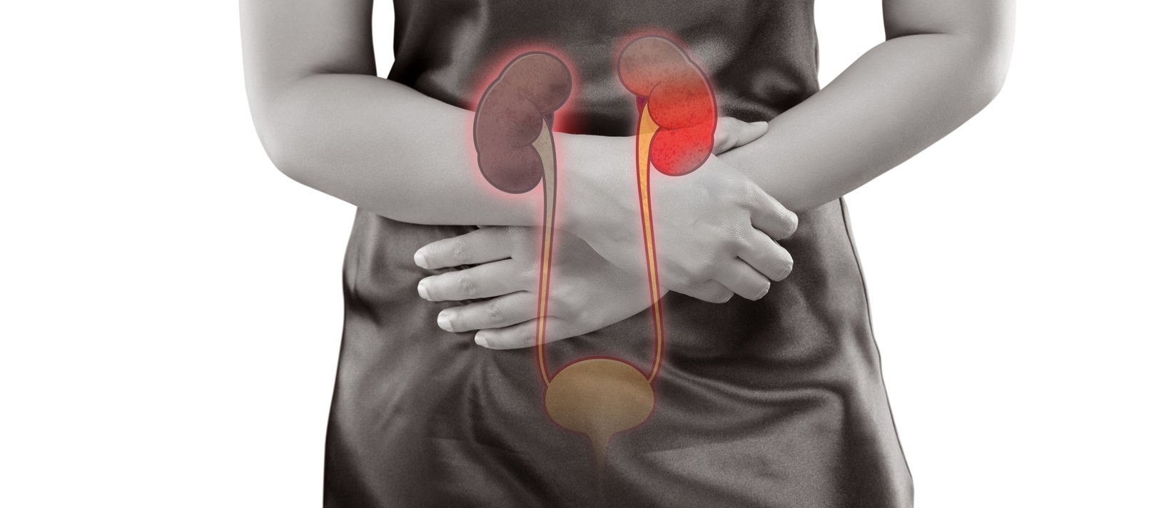 Nyresykdom. Ill: Colourbox