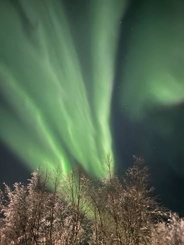 Nordlys