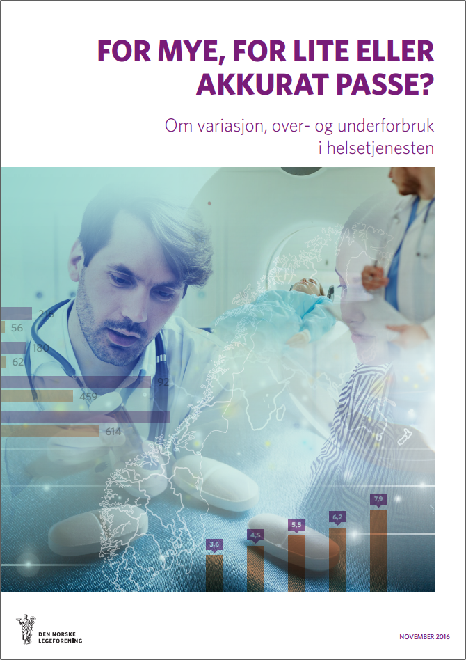 Forside for rapporten For mye, for lite eller akkurat passe?