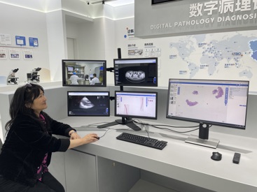 Yin foran skjermer som viser radiologi og snitt fra histologi