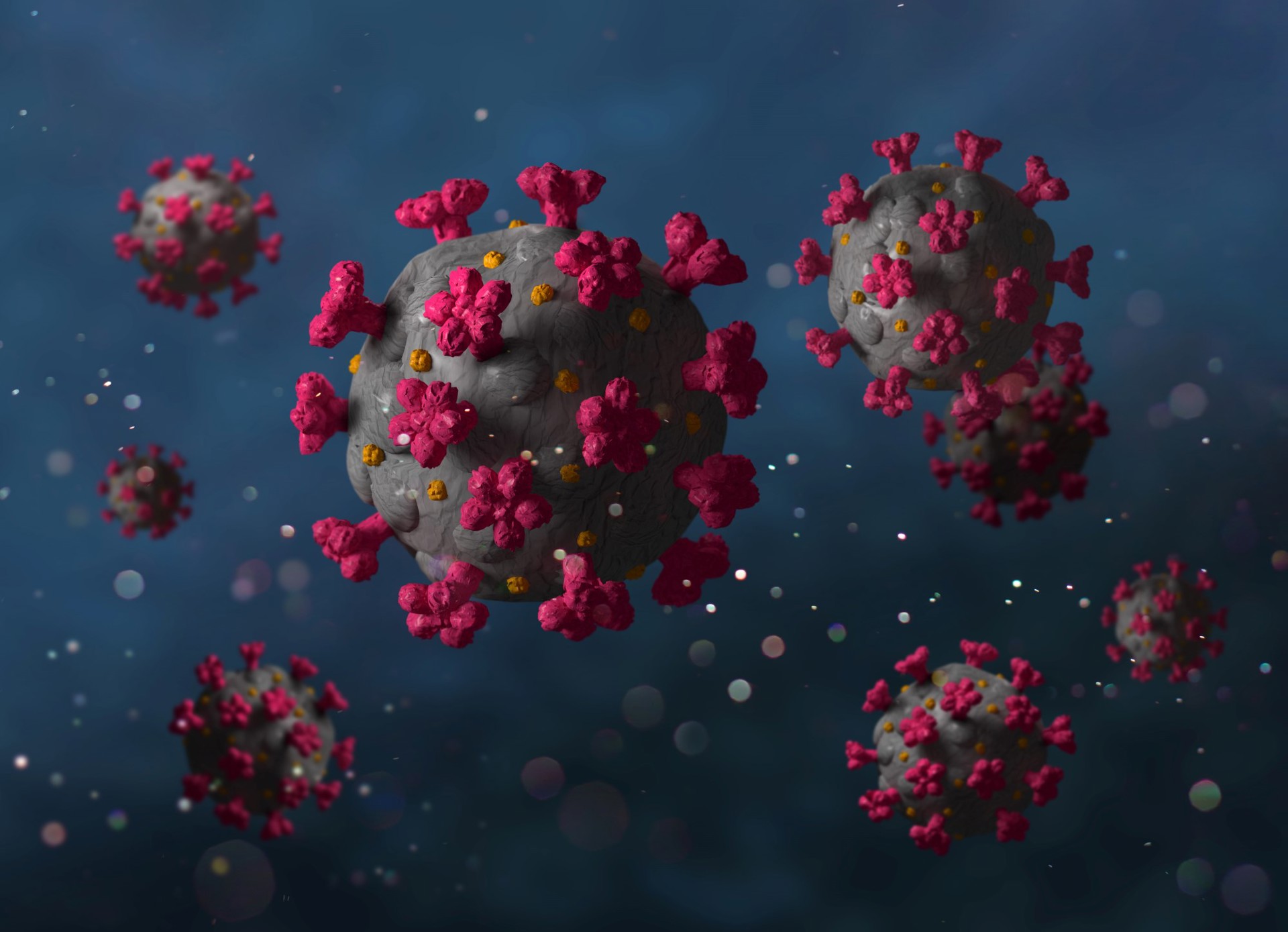 koronavirus