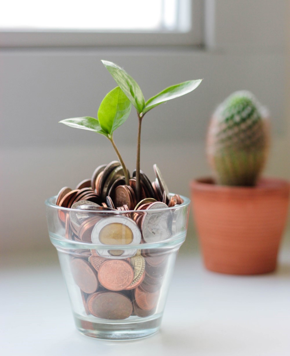 Grønn plante som vokser opp av et glass med mynter