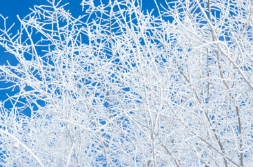 vinter colourbox.com