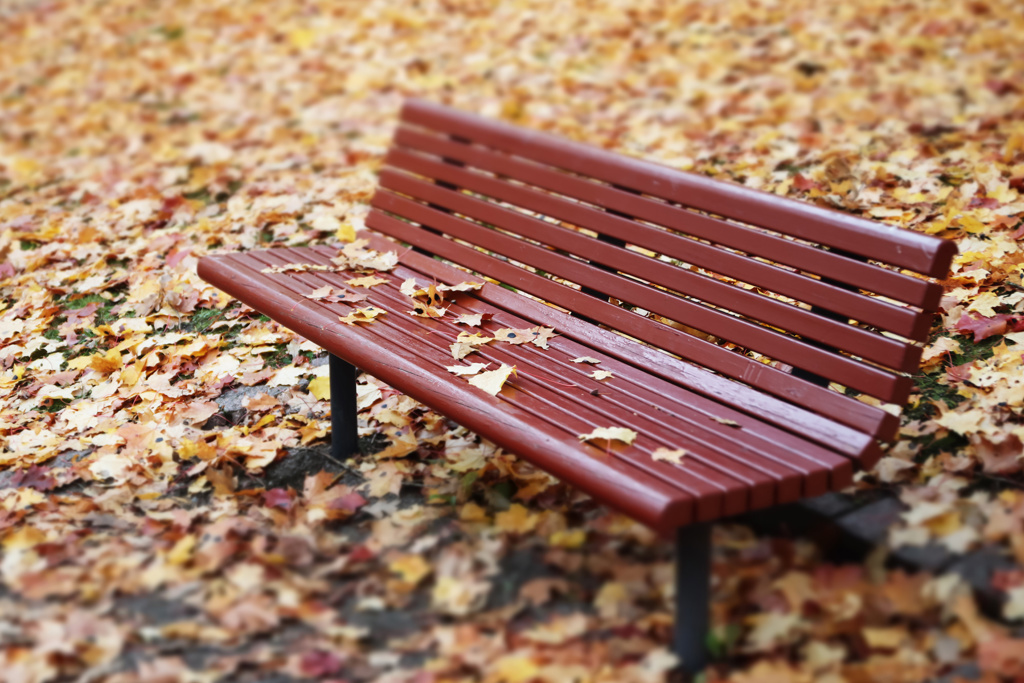 Mostphotos mp34377657