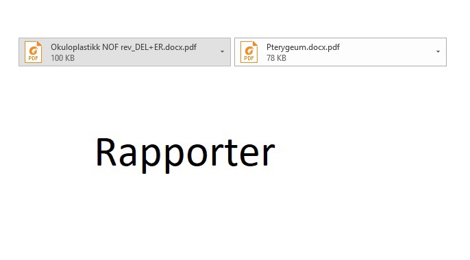 Bilde av årsrapporter