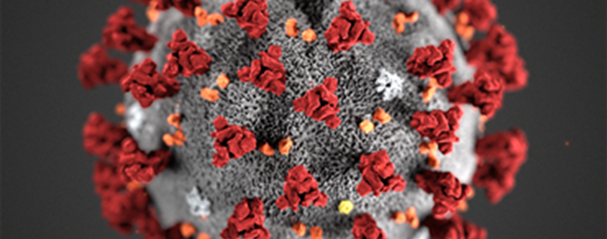 Koronavirus
