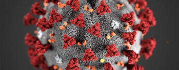 Koronavirus