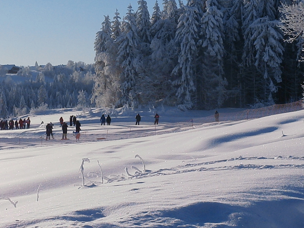 Bilde fra norgesmesterskapet på ski på Vind, Gjøvik.