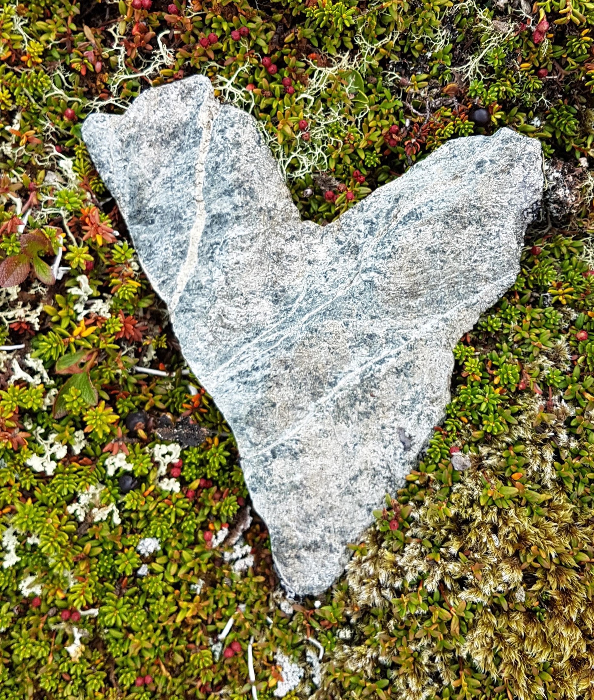 Foto: N. Hjorth2019