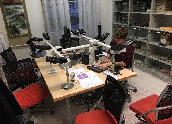 Egenstudier ved fellesmikroskop