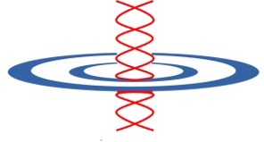 NFMP logo